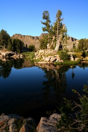 Reflections Of a Lone Tree
