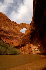 Stevens Arch