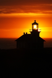 The Caring Light