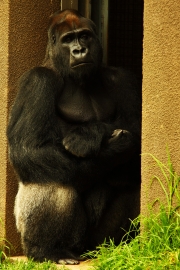 Does Anybody Even Notice