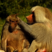 You Can Depend On Me